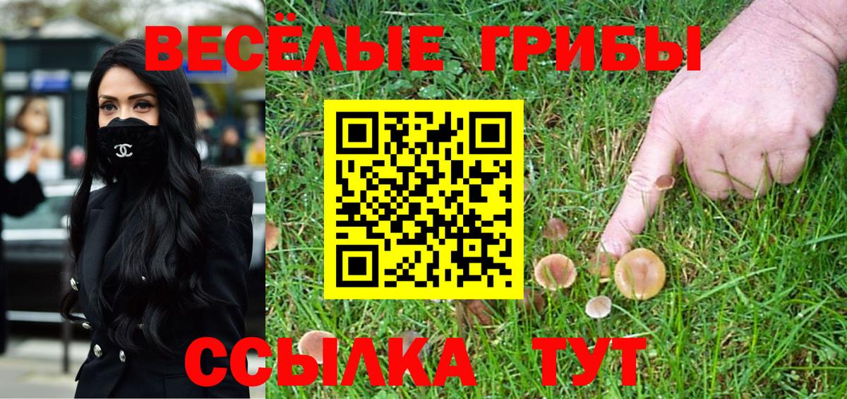 Псилоцибиновые грибы GOLDEN TEACHER Ленинск-Кузнецкий