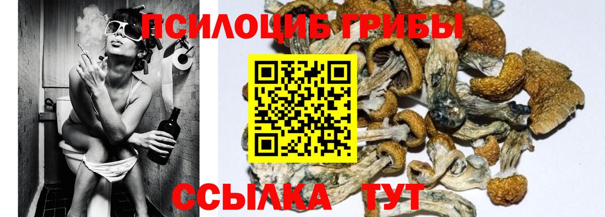 Псилоцибиновые грибы прущие грибы  Галлюциногенные грибы MAGIC MUSHROOMS  Ленинск-Кузнецкий  Вход с VPN 